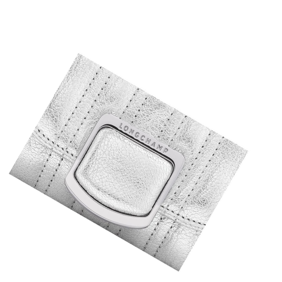 Longchamp Brioche Métal Donna Portafoglio Con Cerniera Argento | KCYD-14895